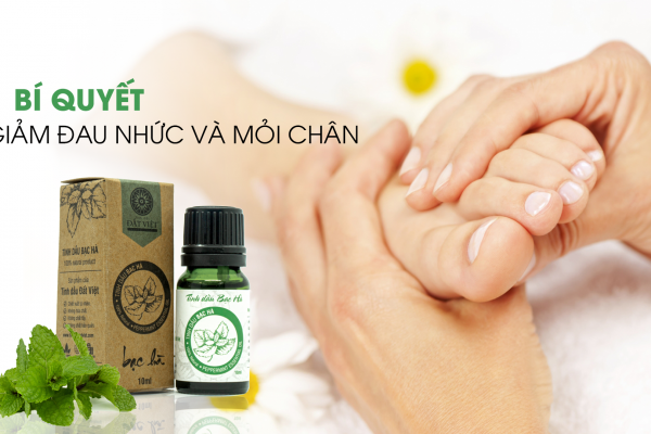 Cách chọn tinh dầu mát-xa chân hiệu quả tại nhà |Tinh Dầu Tự Nhiên