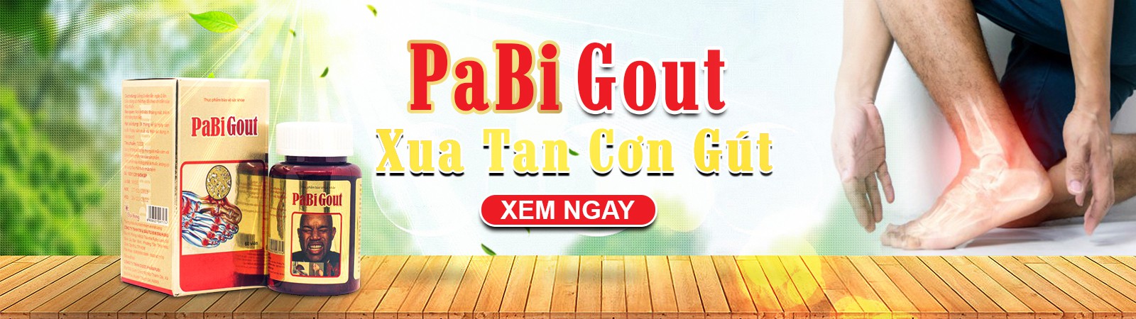 Hỗ trợ điều trị Gout