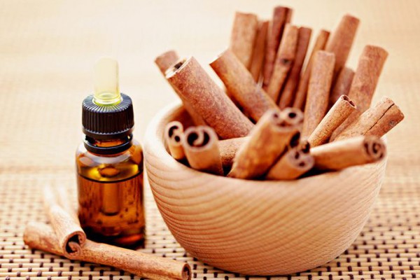 Tinh dầu quế có tác dụng thế nào? Cách sử dụng ra sao? Mua loại nào tốt?